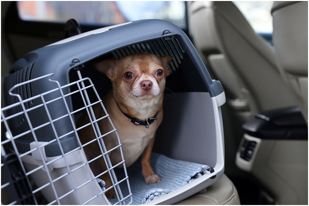 WWK9 crate training facilitates stress-free travel as a dog relaxes in a secure crate during a car or plane journey